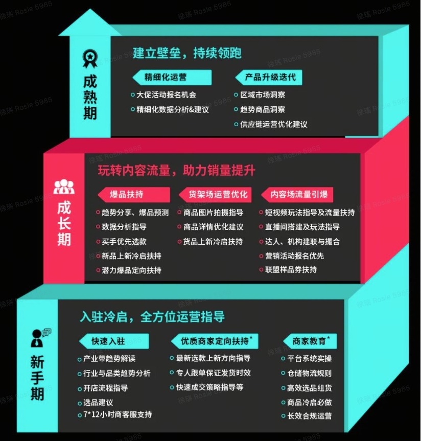 TikTok Shop跨境電商上線“產業帶100計劃”，助力商家爆品孵化