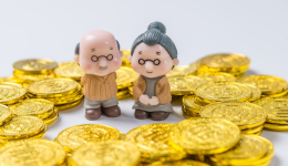 需求創新高！“銀色海嘯”帶飛這些品類