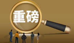 拼多多2023年營收2476億元，Temu已能“挑大樑”成增長新引擎？