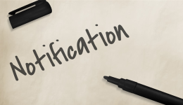 【雨果快報】披薩烤箱成TikTok廚具市場新寵，Coupang3月大促訂單環比雙11增幅超70%