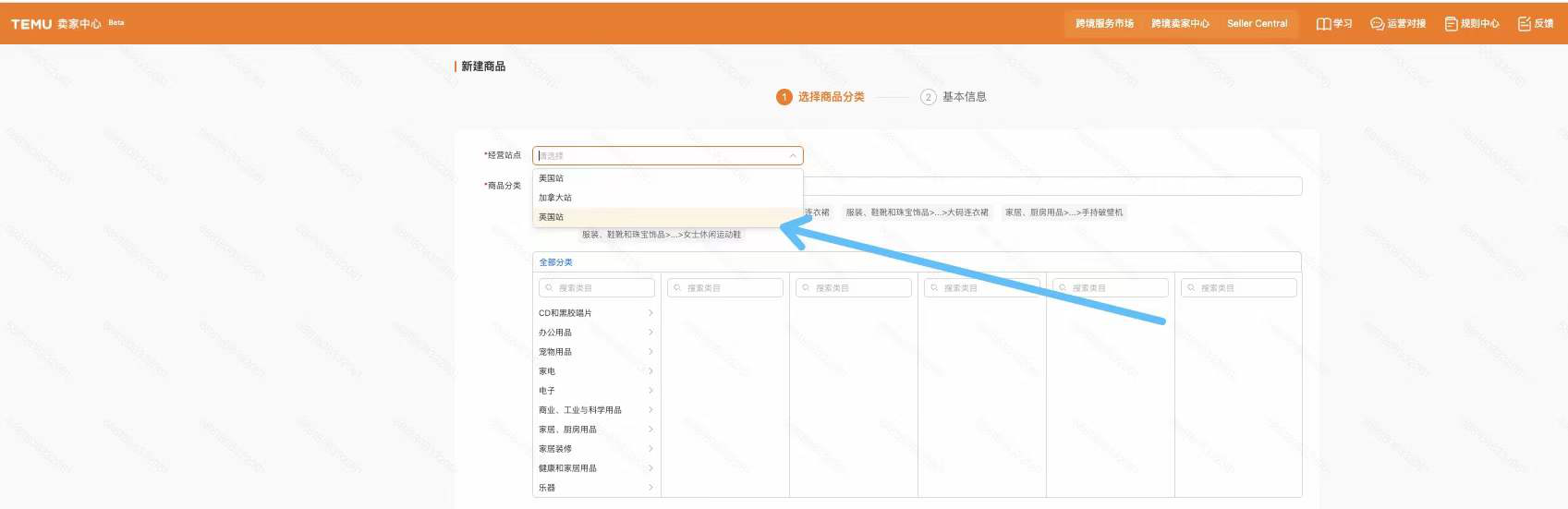 歐洲首站！TEMU半托管上線英國站！