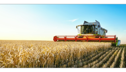 歐美人的“開心農場”，被中國賣家承包