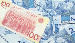 入駐一年銷售額破200萬美金，亞馬遜巴西站爲何如此吸金？