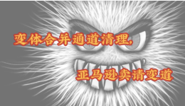 前方變體合併濫用通道受到清理，請亞馬遜賣家速變道