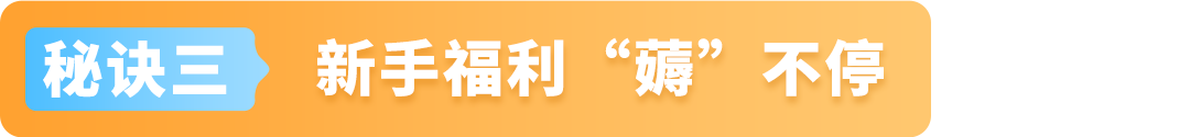 亞馬遜物流新策略！大件園林商品如何利用FBA實現高效配送