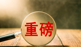 TEMU最新情報！這些類目商家可自行申請……