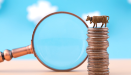 首單起量太快，免不了斷貨？TEMU官方建議……