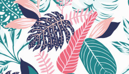 TikTok將推出本土化生活服務，第一站將登陸東南亞