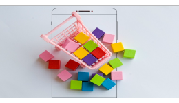 亞馬遜日本站 選品和節日