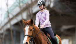 2024.07.18亞馬遜選品推薦（僅供參考）：專業馬護腿