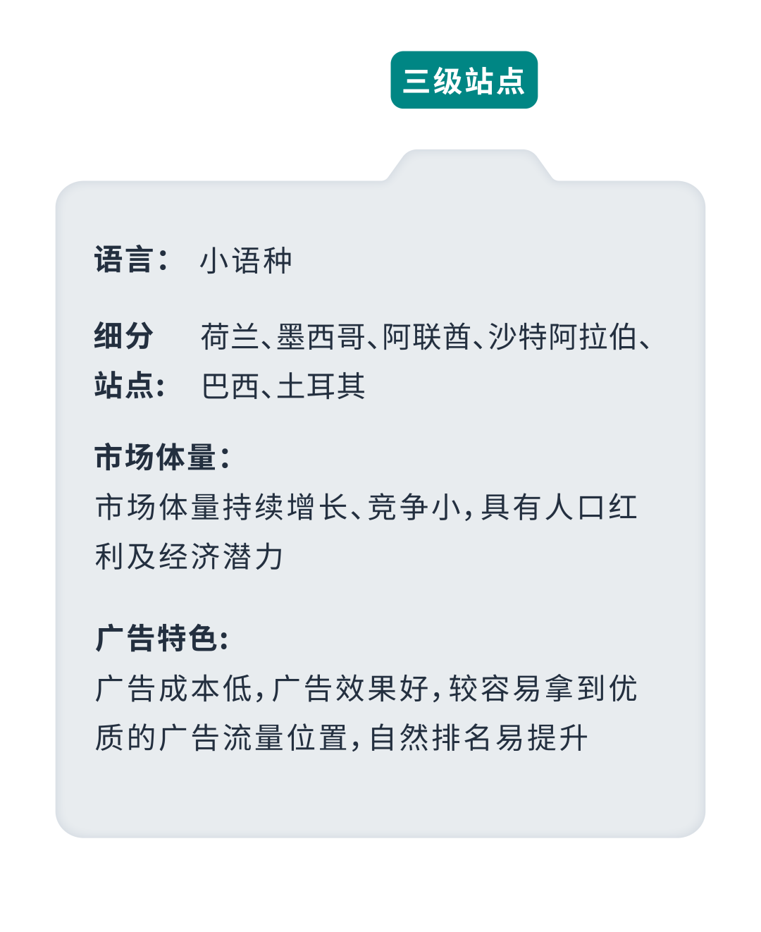 成本低高回報？亞馬遜小語種站點起量祕籍效果意想不到！