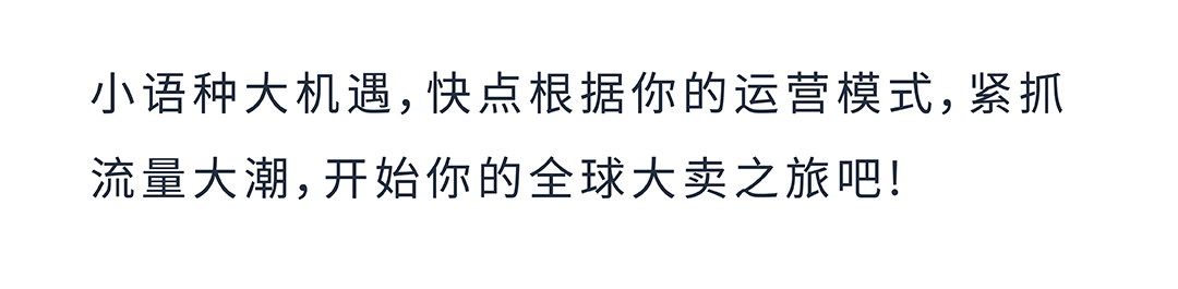 成本低高回報？亞馬遜小語種站點起量祕籍效果意想不到！