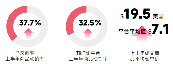 《2024上半年TikTok電商數據報告》解析+美國市場深度透視
