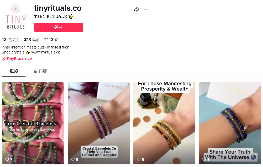 百萬美元月收背後的獨立站黑馬：TikTok舞臺，廣闊天地靜待翱翔