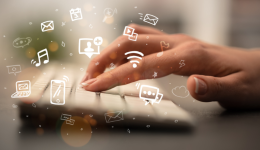 亞馬遜選品-數據分析第10期 杯子草莓切片器