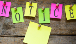 【雨果快報】SHEIN正式進入哥倫比亞市場，今夏俄羅斯避暑露營產品銷量激增