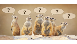 TEMU韓國站開店合規信息怎麼填，要注意什麼