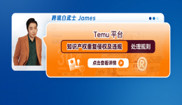 Temu平臺知識產權重複侵權及違規處理規則