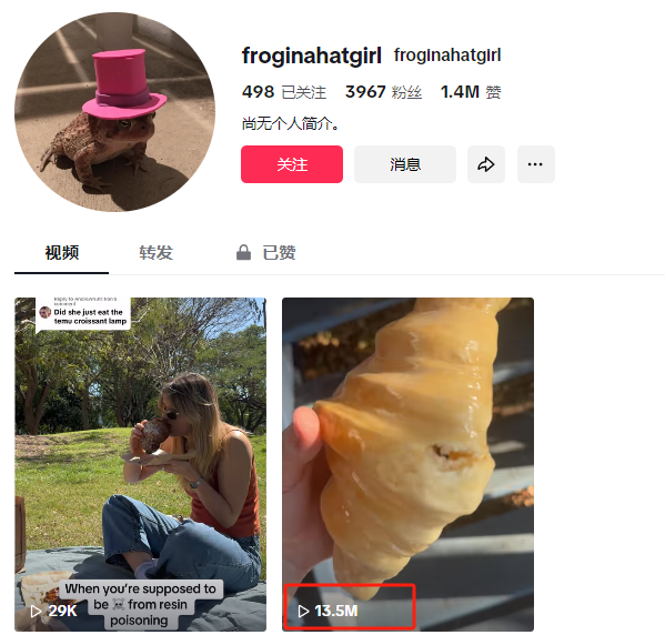 “我去，這居然是真的！”妹子在TikTok上吐槽Temu商品，獲1300萬播放！