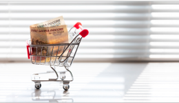 “寵物友好”割草機器人半年狂賺4.49億，強勢打入國際市場！