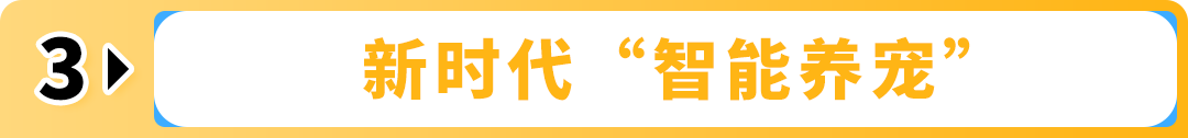 獨家放送！亞馬遜日亞商機洞察報告，品牌升級必看攻略