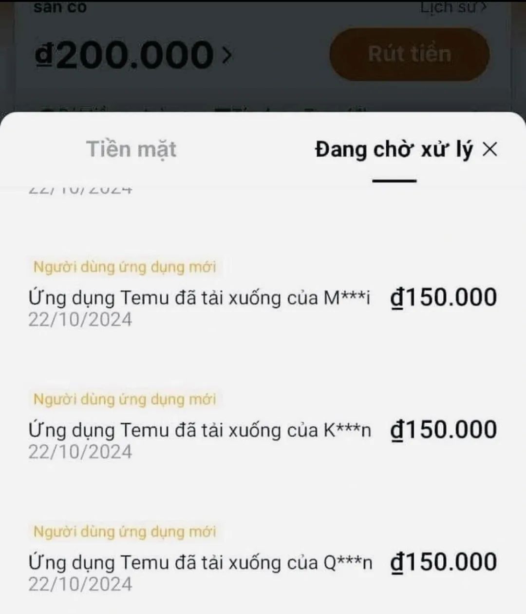 Temu悄悄上線，把一些越南人嚇懵了