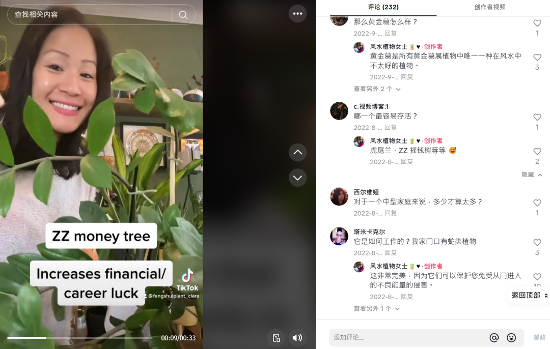 玄學風潮席捲TikTok，風水植物一夜爆紅