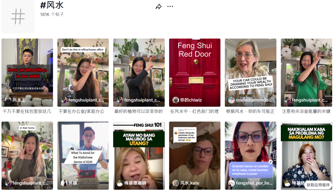玄學風潮席捲TikTok，風水植物一夜爆紅