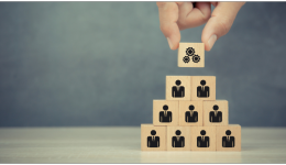 乾貨收藏！TEMU品牌備案全流程，如何新增商標資質？