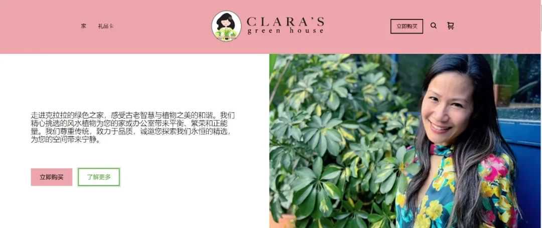 玄學風潮席捲TikTok，風水植物一夜爆紅
