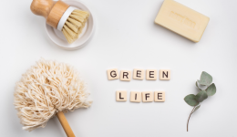 需求旺盛！亞馬遜家居好物與園藝工具選品推薦