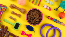 亞馬遜新奇玩具與環保材料寵物品類“惹眼球”