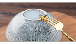 ebay註冊店鋪規則有哪些，ebay一件代發貨源怎麼篩選