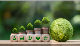 重磅！亞馬遜“綠色生活”新品類趨勢發佈（上）