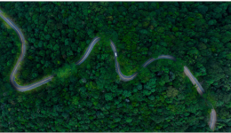 “綠色出行”趨勢風靡亞馬遜熱門站點，選品推薦重磅來襲！