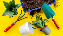 2025亞馬遜庭院類產品市場分析與廣告策略