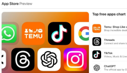蟬聯美國年度下載榜首！Temu能取代TikTok在美國的地位嗎？