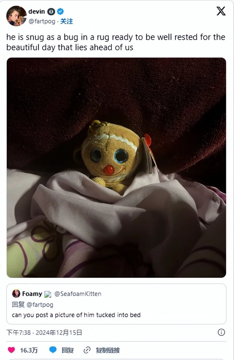 醜到爆紅出圈！一款聖誕玩具海外遭瘋搶