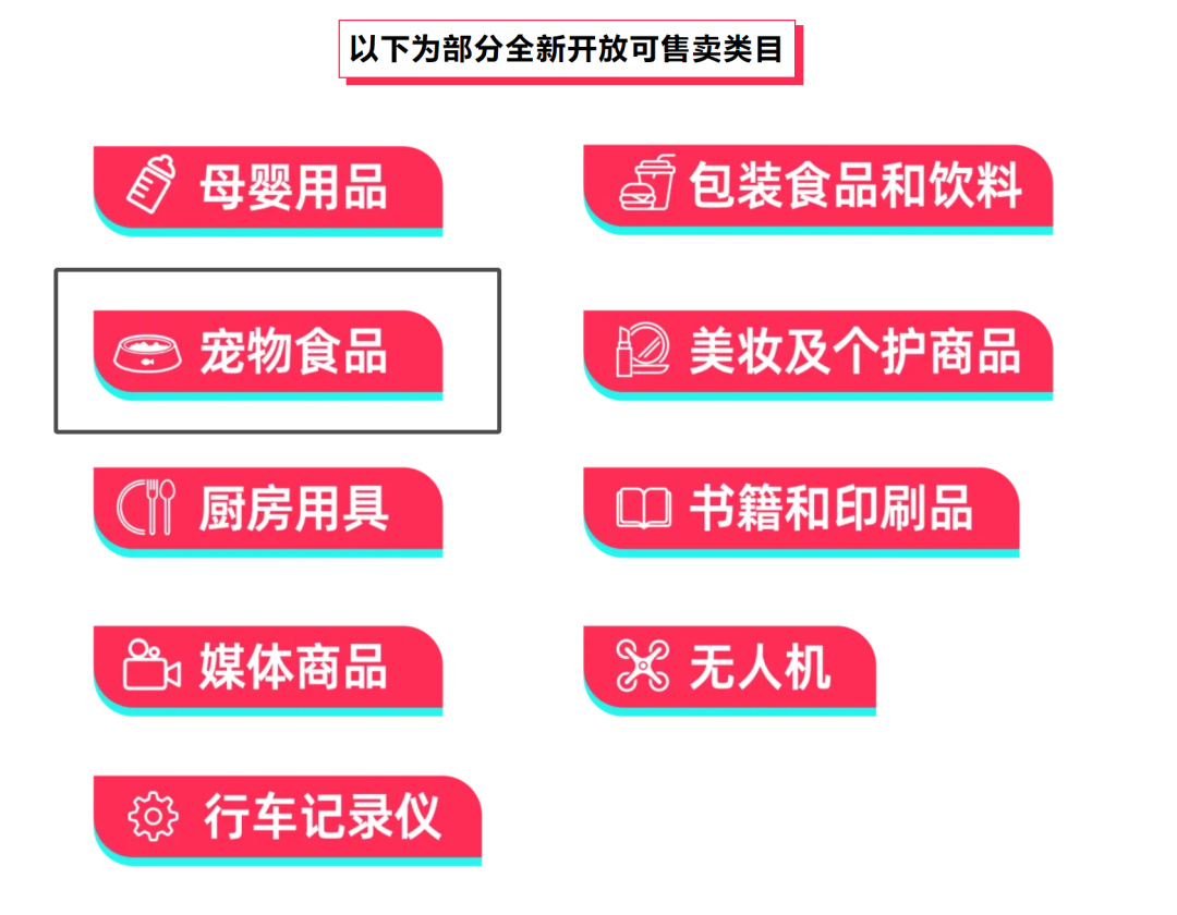 寵物養老熱潮來襲！TikTok上這一產品如何引爆市場，瘋狂吸金？