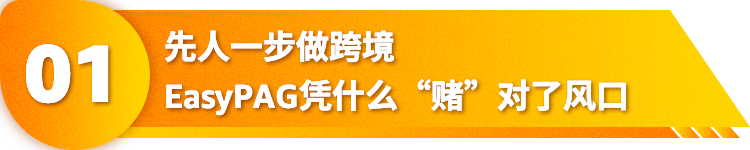 牆上收納工具如何年入千萬美金？揭祕亞馬遜細分類目爆品祕訣！