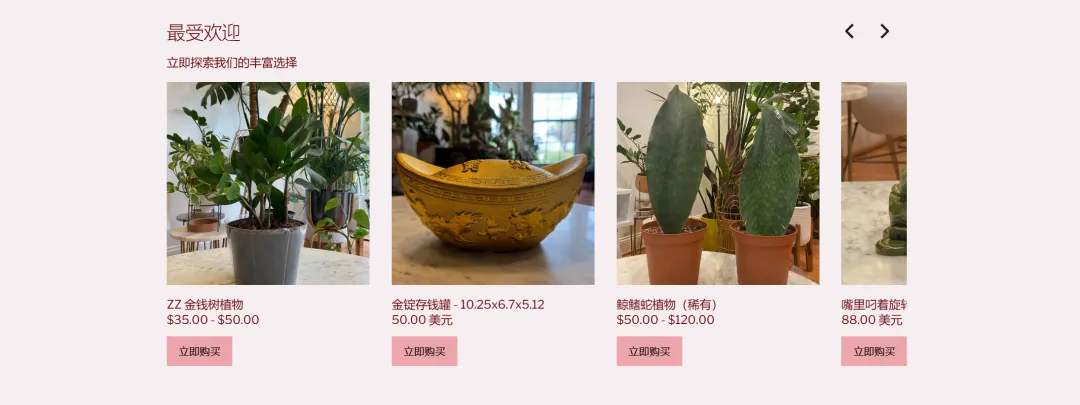 溢價15倍！風水玄學產品在TikTok賣爆了