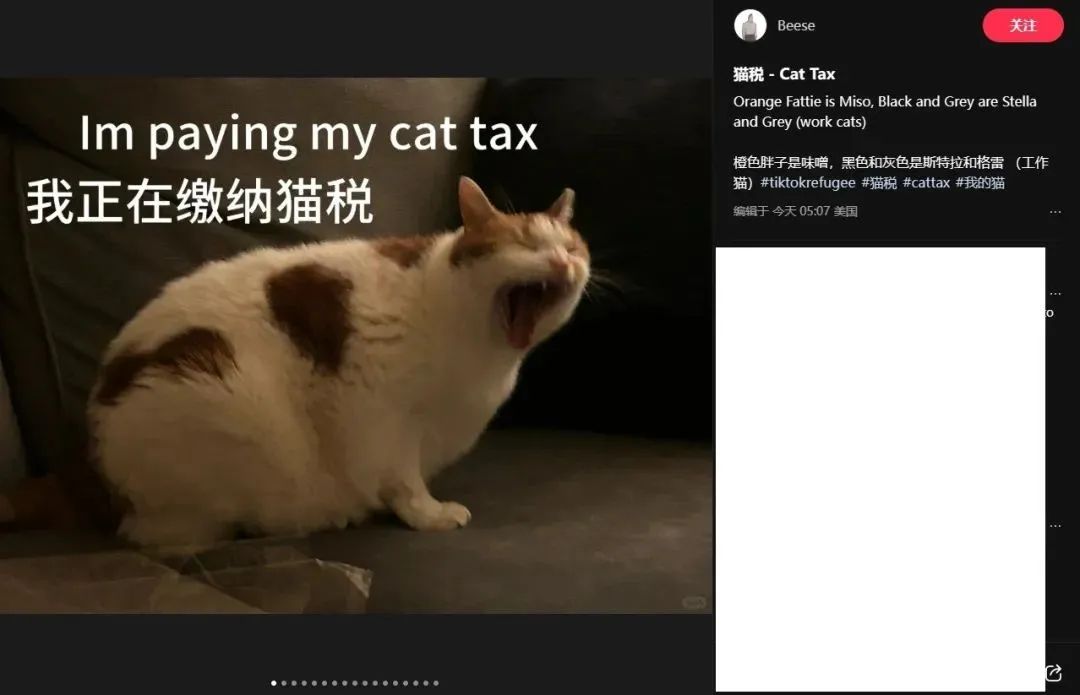 TikTok或遭禁，小紅書火爆“海外” ，跨境人的“逆襲”風口來了！