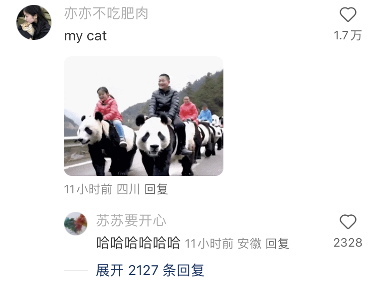TikTok或遭禁，小紅書火爆“海外” ，跨境人的“逆襲”風口來了！