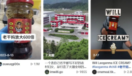第二個“老乾媽”？這款中國辣醬利用TikTok遠銷海外！