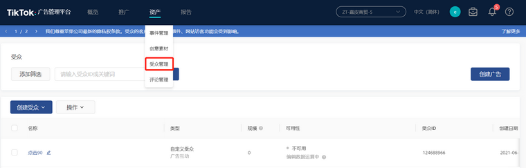 TikTok廣告如何創建受衆？