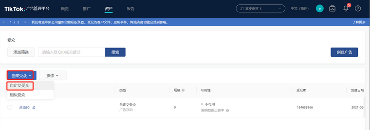 TikTok廣告如何創建受衆？