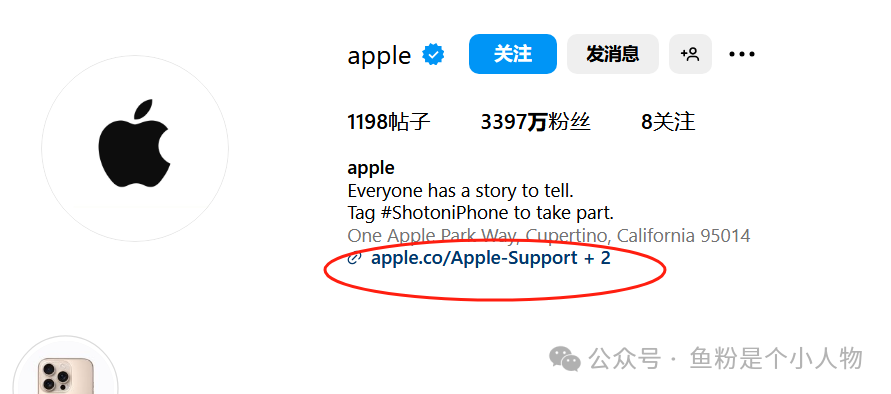 如何通過Instagram爲Amazon引流？亞馬遜賣家的必備流量祕籍！