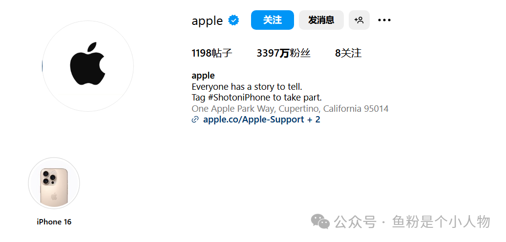 如何通過Instagram爲Amazon引流？亞馬遜賣家的必備流量祕籍！